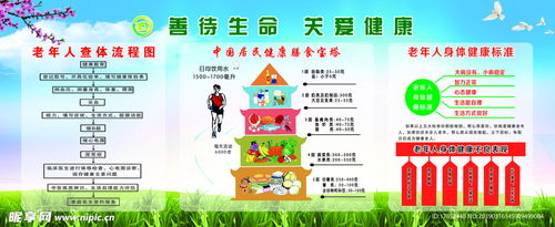 如何正确使用专为老年人设计的自助配餐平台？