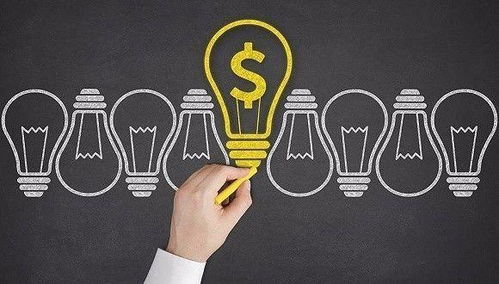 初中生如何利用所学知识实现经济独立？