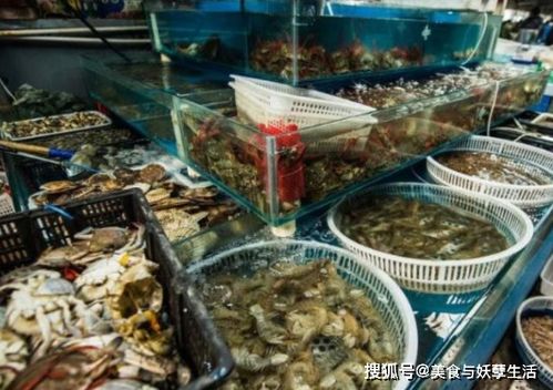 海鲜水产品自助销售平台哪家好？——探索您的最佳选择！
