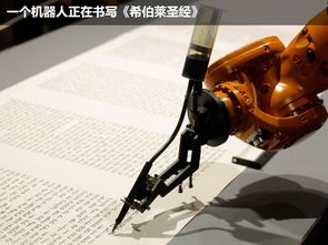防空炮的副业功能有哪些？意想不到的用途大盘点