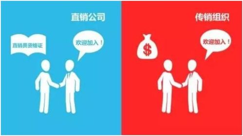 市场调研真的是什么工作？它与传销有何不同，您了解吗？