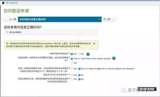 如何在新西兰自助购票网站进行查询操作？