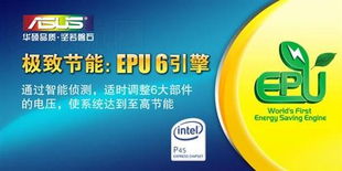 武体迎新平台PC端如何使用？探索自助服务的奥秘！