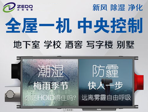想要高效便捷地下单？探秘陌陌自助下单平台的魅力究竟何在？