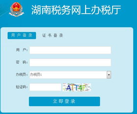 如何在湖南使用网上自助报税平台进行税务申报？