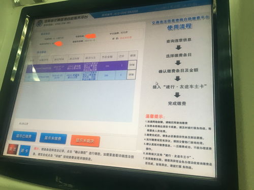 建行自助违章缴费平台真的好用吗？如何通过它快速处理交通罚款？