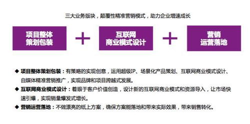 初创小项目如何实现盈利？赚钱策略全解析