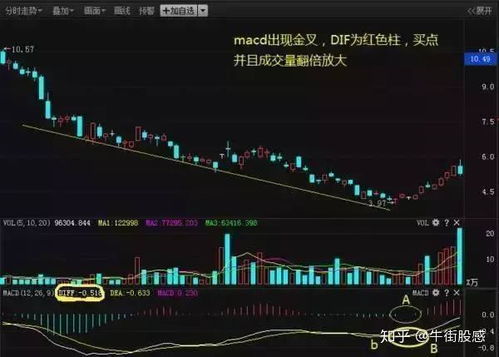 初入股市的新手如何实现盈利？有哪些实用策略？