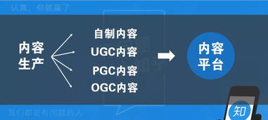 如何在朴朴小程序自助平台上轻松操作？探索高效便捷的购物新体验！