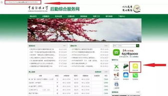 怒江有哪些值得推荐的自助团购网站？这篇指南帮你找到最佳选择！