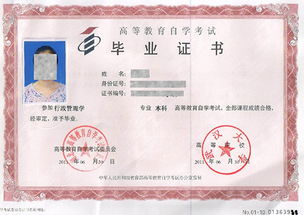 想要自考本科？湖南自考本考试自助平台是您的不二选择吗？