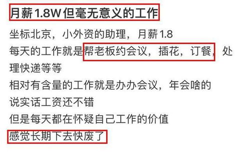 是否存在既轻松又高薪的理想工作？真相令人好奇！