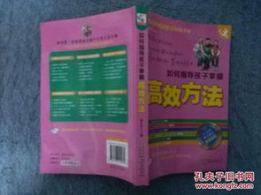 如何高效掌握赚钱的方法与技巧？