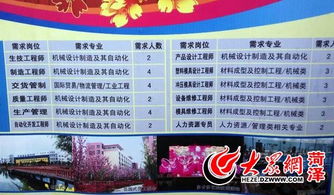 菏泽哪个舞蹈室在使用自助招聘网站，效果如何？