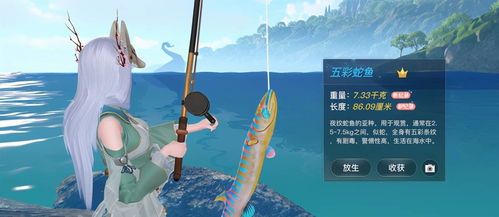 路亚钓鱼竟成烧钱游戏，非土豪玩家真的能承受得起吗？