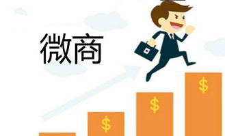 微商成功的秘诀藏在哪里？揭秘九大系统如何助力业绩飙升？