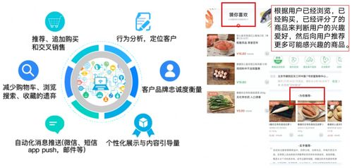 晨星公司评价如何？知乎上的用户真实反馈揭秘晨星公司优劣