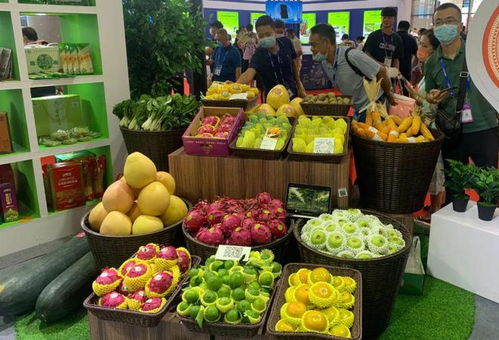 是什么让自助食材采购变得如此便捷？这款平台如何改变我们的购物方式？