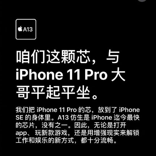 自助平台下单的文案能有多搞笑？揭秘那些让人忍俊不禁的创意！