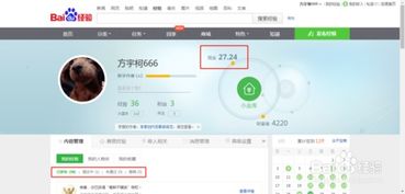 专科生网上兼职赚钱有哪些靠谱方法？