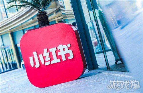 小红书自助平台获赞无数，你知道它的魅力所在吗？