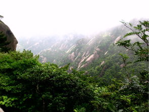 想要黄山旅游更便捷？官网自助平台下载指南，你找到了吗？