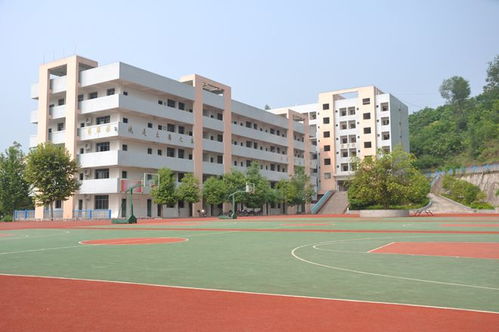湘潭县云龙中学的教学质量和校园环境究竟如何？