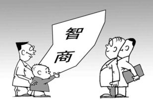 苏州有哪些高收入副业值得一试？