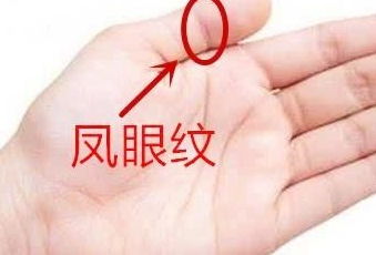 如何通过手相判断一个人是否有副业？
