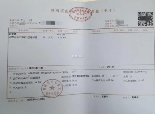 如何自己在自助平台上制作发票章？这个流程复杂吗？