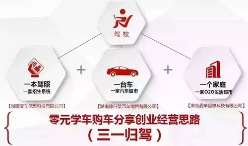 杏林春的经营效益如何？它真的能带来可观的利润吗？
