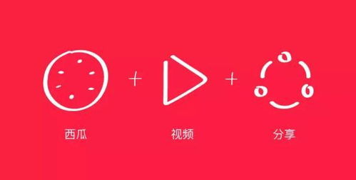 创作者如何通过拍西瓜视频实现盈利？