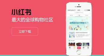 小红书上的自助购物平台真的能找到超值低价吗？