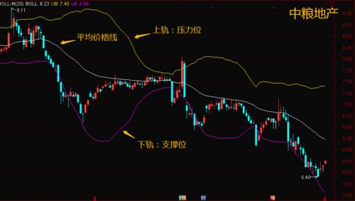 到大理销售板栗能否实现盈利？你了解行情吗？