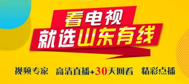 胶州哪家自助团购平台电话最靠谱？一通电话轻松享受优惠！