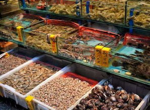 想要海鲜自由？探索水产自助团购平台，这是你的最佳选择吗？