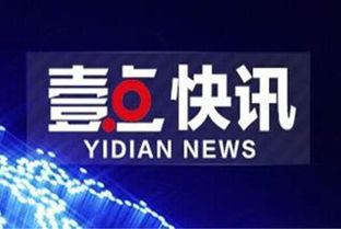 滨州有哪些自助相亲平台？它们的联系电话是多少？