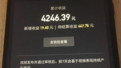 普通人玩抖音真的能赚钱吗？现实打脸声声脆！