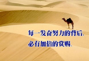 初三学生能否通过自己的努力实现经济独立？
