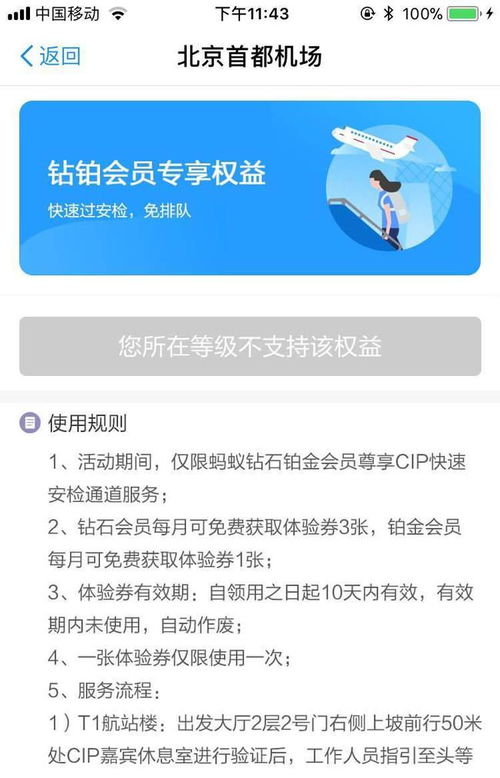 如何在蚂蚁自助快手上进行便捷下单？掌握这项技能的最新指南！