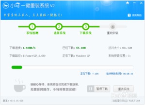 如何在手机号自助购买平台上下载相应应用？一键掌握攻略！