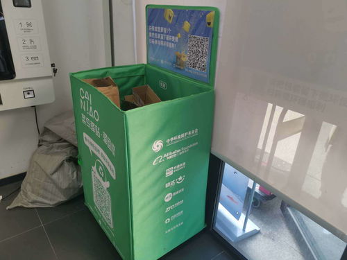 利用回收旧纸箱制作商品，真的能带来可观收益吗？