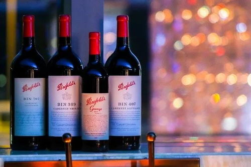 代理藏狼酒真的能带来可观收益吗？