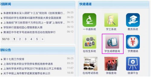 如何在自助大厅高效查询所需信息？探索一站式网站查询指南