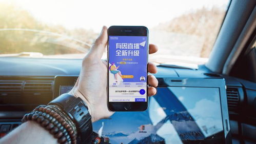 如何打造一个高效的自助下单平台网站？关键步骤与技巧解析