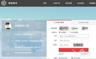 如何在爱丽丝自助下单网站轻松刷赞？一键操作的秘密是什么？