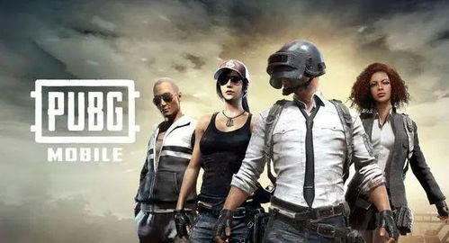 如何才能进入PUBG自助平台？探索快速登录指南与步骤解析