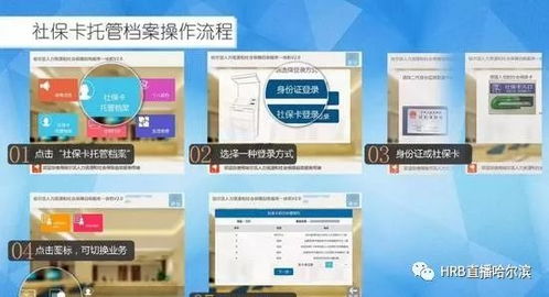 如何安装社保自助平台？掌握关键步骤，轻松完成设置！