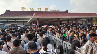 如何快速进入澳门自助通关网站？官方入口在这里吗？