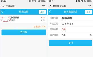 如何在湖南使用自助缴费平台？这是您高效缴费的最佳选择吗？